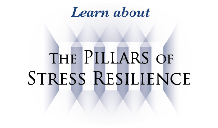 Learn to use the Pillars of Self Resilience